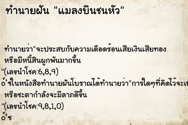 ทำนายฝัน แมลงบินชนหัว