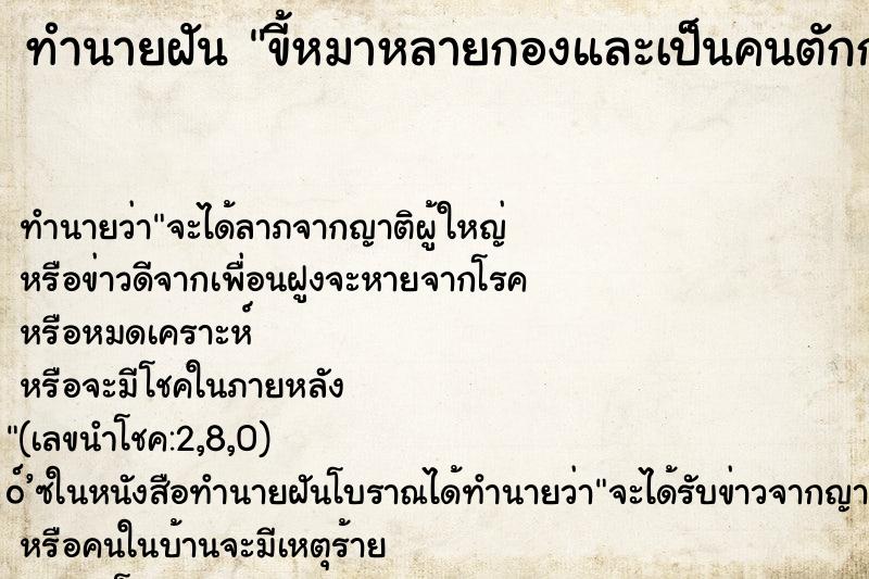 ทำนายฝันทำนายฝันขี้หมาหลายกองและเป็นคนตักกวาดไปทิ้งเอง