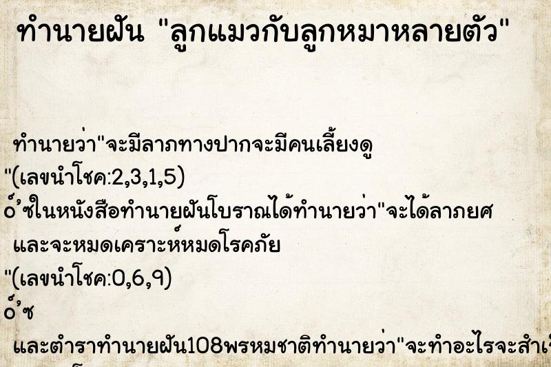 ทำนายฝัน ลูกแมวกับลูกหมาหลายตัว ตำราโบราณ แม่นที่สุดในโลก