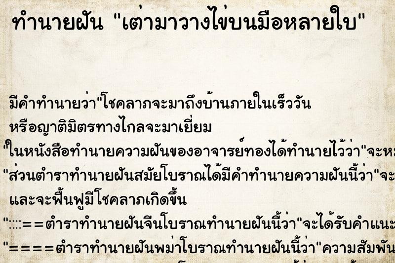 ทำนายฝันเต่ามาวางไข่บนมือหลายใบ ทำนายฝันทำนายฝันเต่ามาวางไข่บนมือหลายใบ