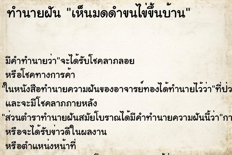 ทำนายฝัน เห็นมดดำขนไข่ขึ้นบ้าน ตำราโบราณ แม่นที่สุดในโลก