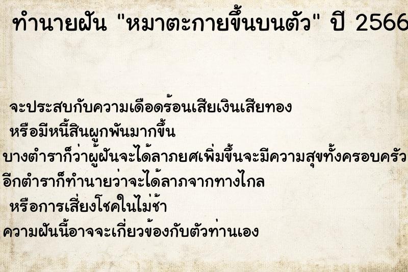 ทำนายฝันหมาตะกายขึ้นบนตัว ทำนายฝันทำนายฝันหมาตะกายขึ้นบนตัว