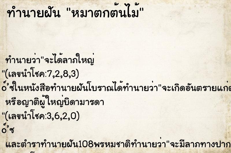 ทำนายฝันทำนายฝันหมาตกต้นไม้