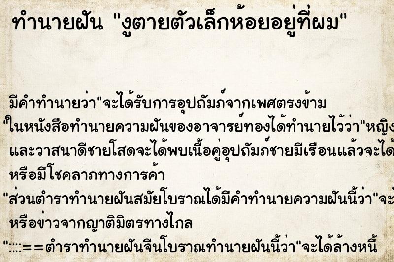 ทำนายฝันงูตายตัวเล็กห้อยอยู่ที่ผม ทำนายฝันทำนายฝันงูตายตัวเล็กห้อยอยู่ที่ผม
