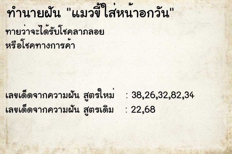 ทำนายฝันแมวขี้ใส่หน้าอกวัน ทำนายฝันทำนายฝันแมวขี้ใส่หน้าอกวัน