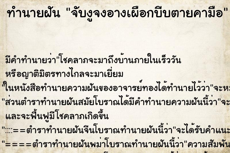 ทำนายฝันจับงูจงอางเผือกบีบตายคามือ ทำนายฝันทำนายฝันจับงูจงอางเผือกบีบตายคามือ
