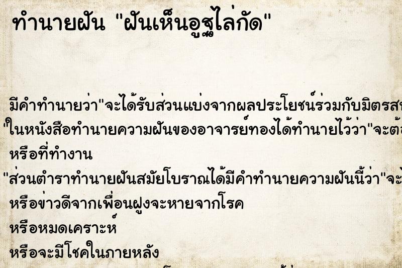 ทำนายฝัน ฝันเห็นอูฐไล่กัด ทำนายฝัน ฝันเห็นอูฐไล่กัด