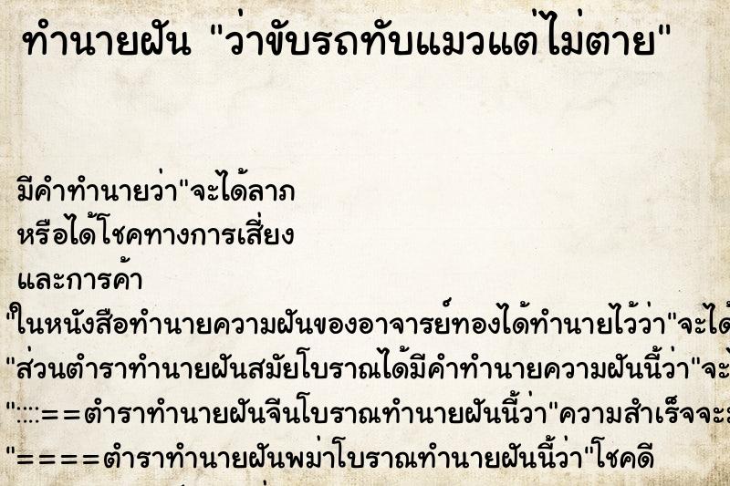 ทำนายฝัน ว่าขับรถทับแมวแต่ไม่ตาย ทำนายฝัน ว่าขับรถทับแมวแต่ไม่ตาย