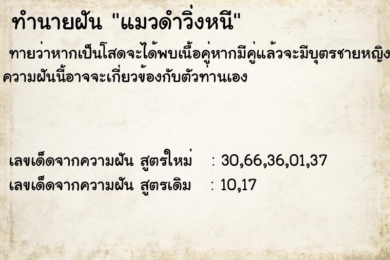 ทำนายฝันแมวดำวิ่งหนี ทำนายฝันทำนายฝันแมวดำวิ่งหนี