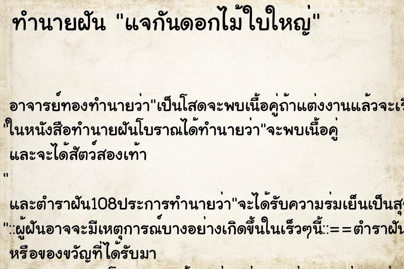 ทำนายฝันแจกันดอกไม้ใบใหญ่ ทำนายฝันทำนายฝันแจกันดอกไม้ใบใหญ่