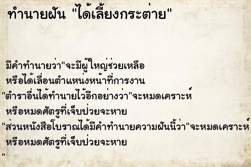 ทำนายฝัน ได้เลี้ยงกระต่าย ทำนายฝัน ได้เลี้ยงกระต่าย
