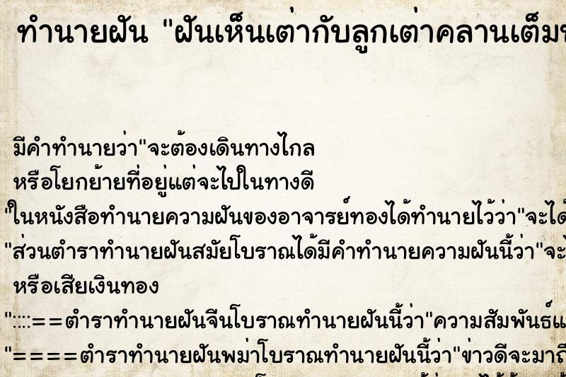 ทำนายฝันฝันเห็นเต่ากับลูกเต่าคลานเต็มบ้าน ทำนายฝันทำนายฝันฝันเห็นเต่ากับลูกเต่าคลานเต็มบ้าน