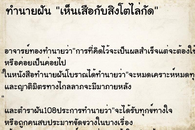 ทำนายฝัน เห็นเสือกับสิงโตไล่กัด ทำนายฝัน เห็นเสือกับสิงโตไล่กัด