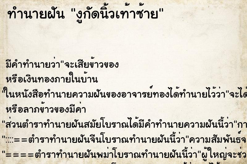 ทำนายฝัน งูกัดนิ้วเท้าซ้าย ทำนายฝัน งูกัดนิ้วเท้าซ้าย