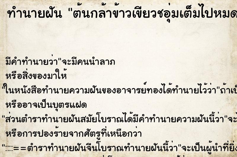 ทำนายฝันทำนายฝันต้นกล้าข้าวเขียวชอุ่มเต็มไปหมด