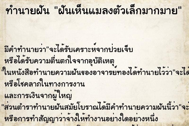 ทำนายฝัน ฝันเห็นแมลงตัวเล็กมากมาย ตำราโบราณ แม่นที่สุดในโลก