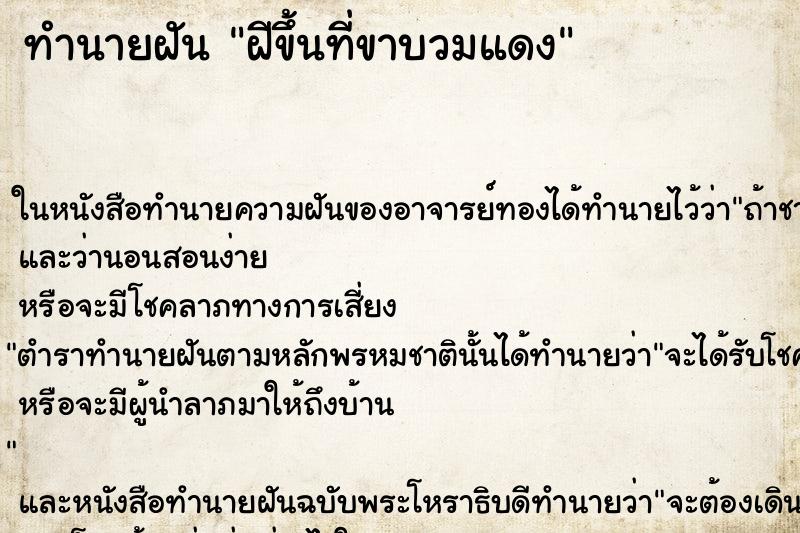 ทำนายฝันฝีขึ้นที่ขาบวมแดง ทำนายฝันทำนายฝันฝีขึ้นที่ขาบวมแดง