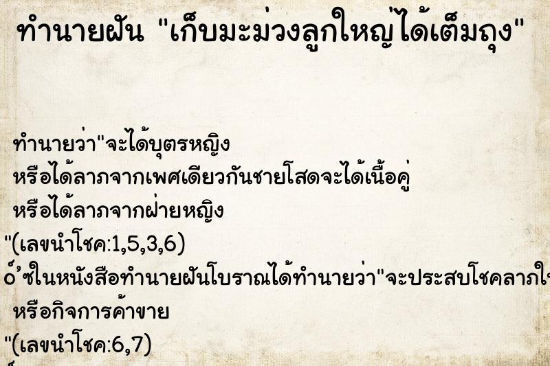 ทำนายฝัน เก็บมะม่วงลูกใหญ่ได้เต็มถุง ทำนายฝัน เก็บมะม่วงลูกใหญ่ได้เต็มถุง