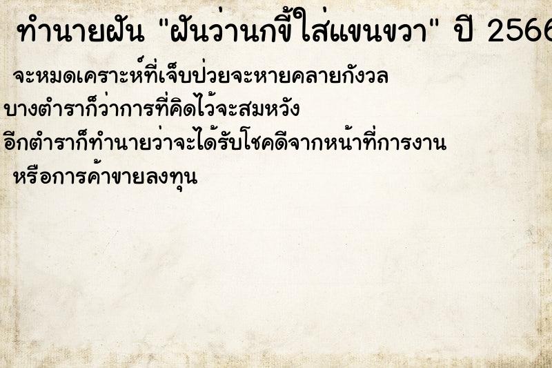 ทำนายฝัน ฝันว่านกขี้ใส่แขนขวา ทำนายฝัน ฝันว่านกขี้ใส่แขนขวา
