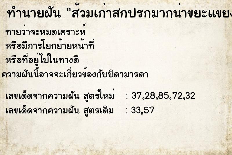 ทำนายฝันส้วมเก่าสกปรกมากน่าขยะแขยง ทำนายฝันทำนายฝันส้วมเก่าสกปรกมากน่าขยะแขยง
