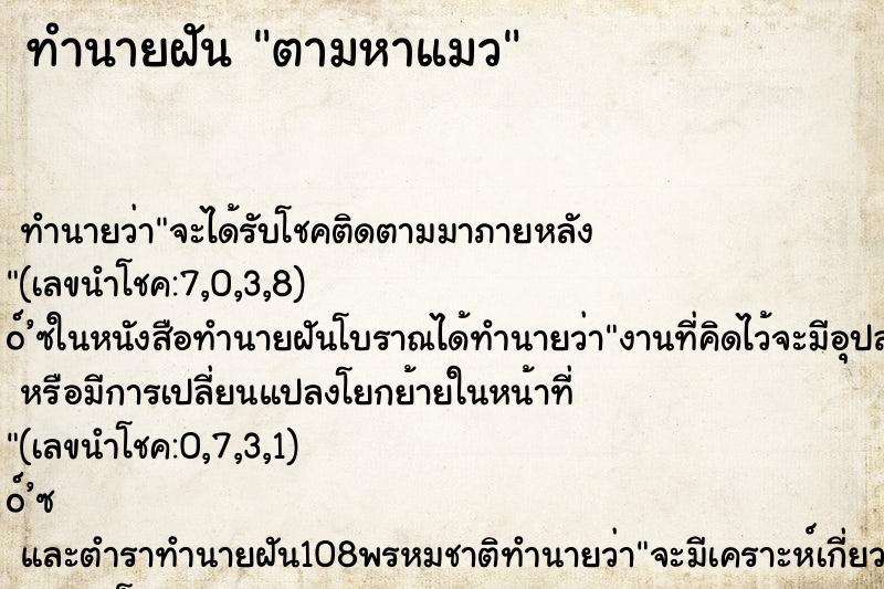 ทำนายฝันตามหาแมว ทำนายฝันทำนายฝันตามหาแมว
