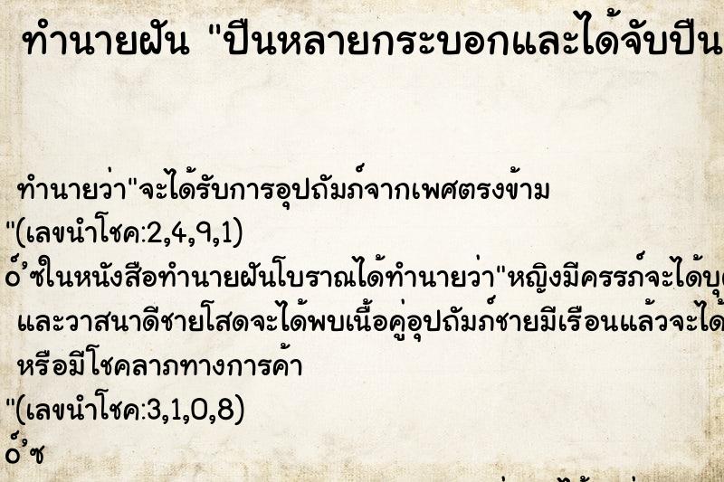 ทำนายฝัน ปืนหลายกระบอกและได้จับปืน ทำนายฝัน ปืนหลายกระบอกและได้จับปืน