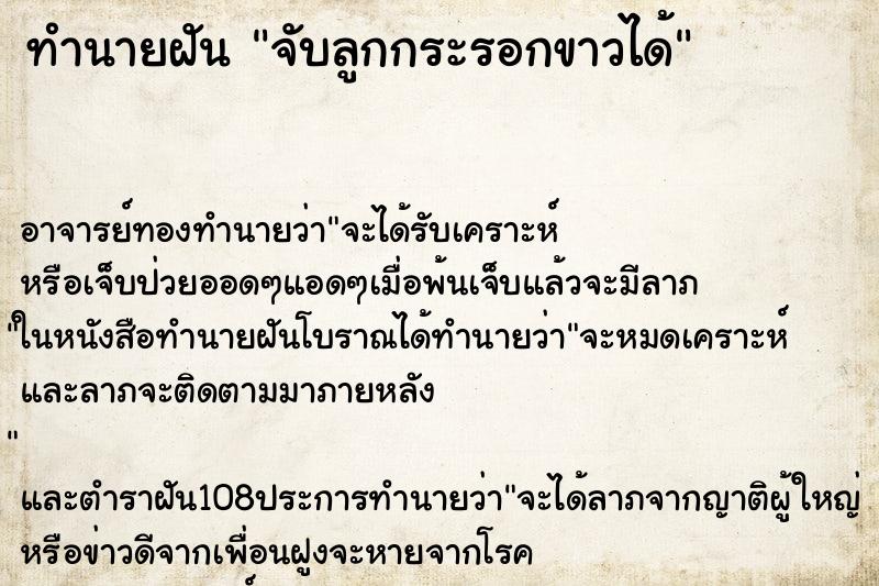ทำนายฝัน จับลูกกระรอกขาวได้