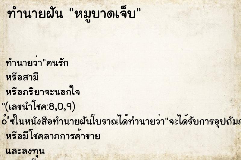 ทำนายฝันหมูบาดเจ็บ ทำนายฝันทำนายฝันหมูบาดเจ็บ