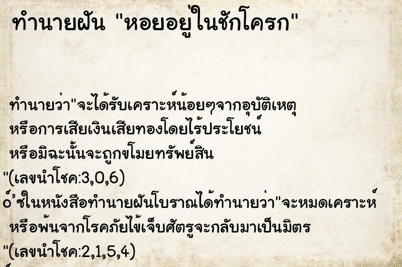 ทำนายฝันหอยอยู่ในชักโครก ทำนายฝันทำนายฝันหอยอยู่ในชักโครก