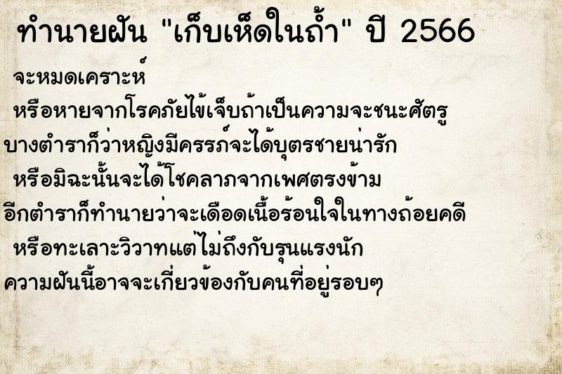 ทำนายฝันทำนายฝันเก็บเห็ดในถ้ำ