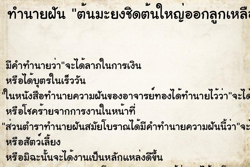 ทำนายฝัน ต้นมะยงชิดต้นใหญ่ออกลูกเหลืองอร่ามเต็มต้น ทำนายฝัน ต้นมะยงชิดต้นใหญ่ออกลูกเหลืองอร่ามเต็มต้น