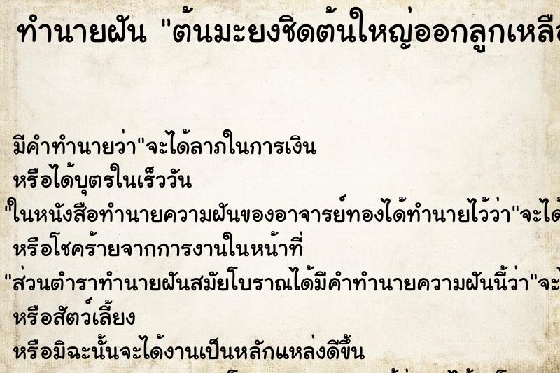 ทำนายฝัน ต้นมะยงชิดต้นใหญ่ออกลูกเหลืองอร่ามเต็มต้น ตำราโบราณ แม่นที่สุดในโลก