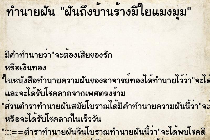 ทำนายฝันฝันถึงบ้านร้างมีใยแมงมุม ทำนายฝันทำนายฝันฝันถึงบ้านร้างมีใยแมงมุม