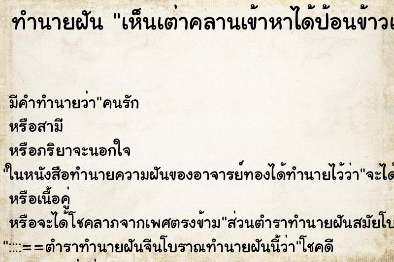 ทำนายฝันเห็นเต่าคลานเข้าหาได้ป้อนข้าวเต่า ทำนายฝันทำนายฝันเห็นเต่าคลานเข้าหาได้ป้อนข้าวเต่า