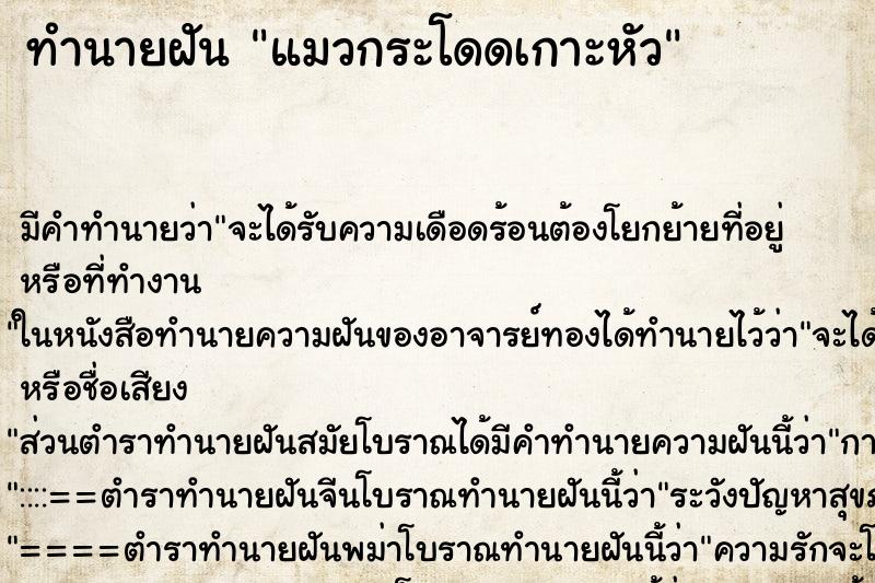 ทำนายฝัน แมวกระโดดเกาะหัว ทำนายฝัน แมวกระโดดเกาะหัว