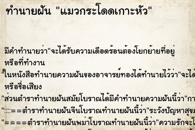 ทำนายฝัน แมวกระโดดเกาะหัว ตำราโบราณ แม่นที่สุดในโลก