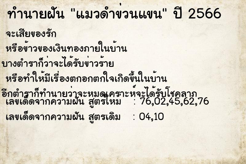ทำนายฝัน แมวดำข่วนแขน ทำนายฝัน แมวดำข่วนแขน