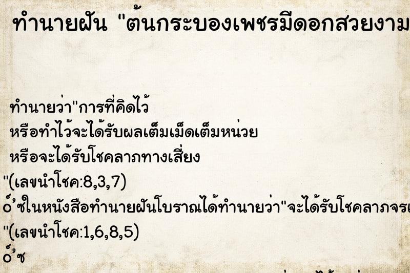 ทำนายฝัน ต้นกระบองเพชรมีดอกสวยงาม ทำนายฝัน ต้นกระบองเพชรมีดอกสวยงาม