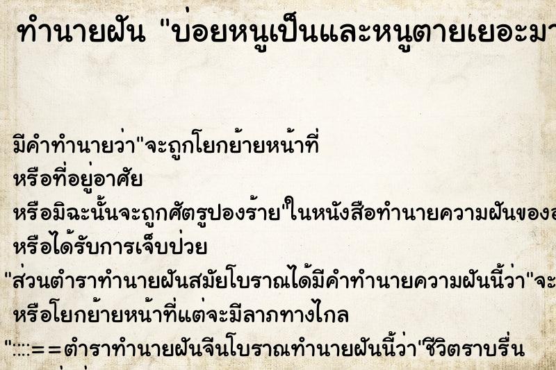 ทำนายฝัน บ่อยหนูเป็นและหนูตายเยอะมาก ทำนายฝัน บ่อยหนูเป็นและหนูตายเยอะมาก