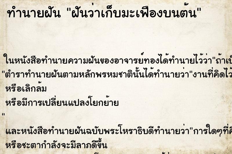 ทำนายฝันฝันว่าเก็บมะเฟืองบนต้น ทำนายฝันทำนายฝันฝันว่าเก็บมะเฟืองบนต้น