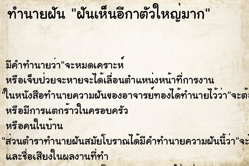 ทำนายฝัน ฝันเห็นอีกาตัวใหญ่มาก ตำราโบราณ แม่นที่สุดในโลก