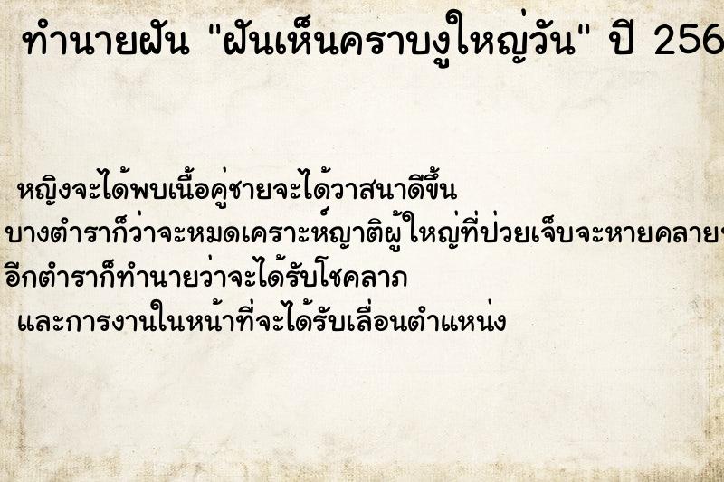 ทำนายฝันฝันเห็นคราบงูใหญ่วัน ทำนายฝันทำนายฝันฝันเห็นคราบงูใหญ่วัน