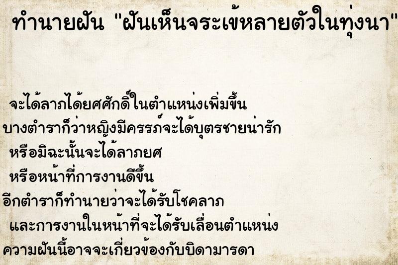 ทำนายฝันทำนายฝันฝันเห็นจระเข้หลายตัวในทุ่งนา
