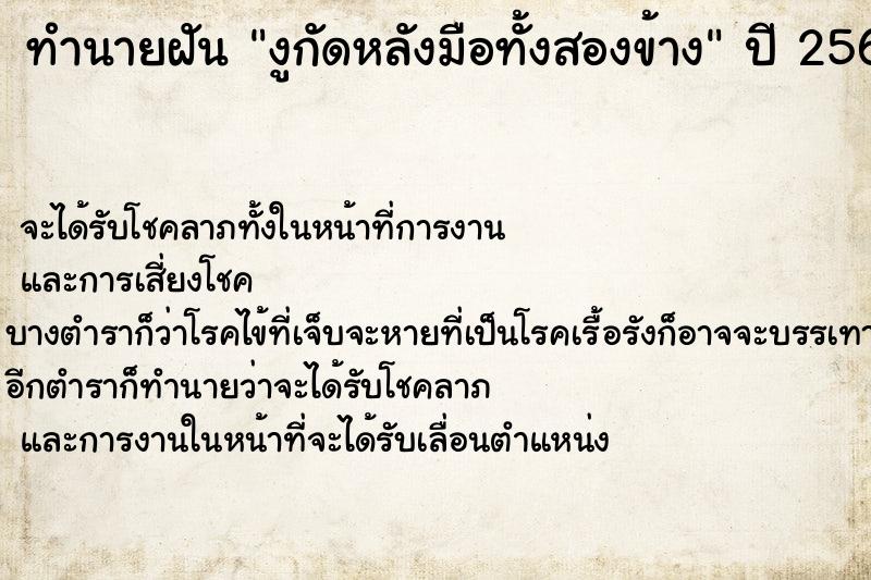 ทำนายฝันงูกัดหลังมือทั้งสองข้าง ทำนายฝันทำนายฝันงูกัดหลังมือทั้งสองข้าง