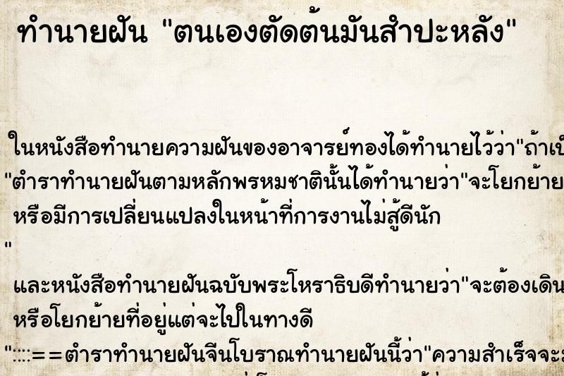 ทำนายฝัน ตนเองตัดต้นมันสำปะหลัง ตำราโบราณ แม่นที่สุดในโลก