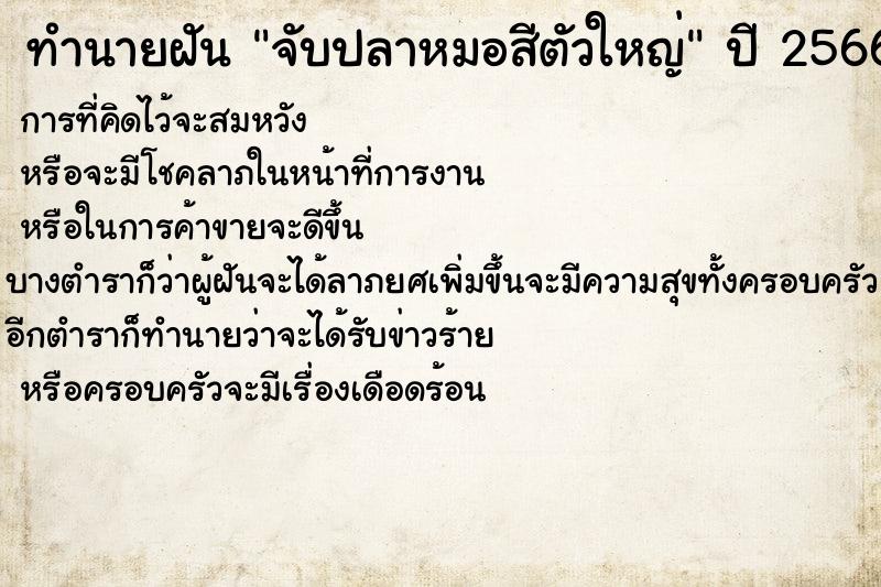 ทำนายฝันจับปลาหมอสีตัวใหญ่ ทำนายฝันทำนายฝันจับปลาหมอสีตัวใหญ่