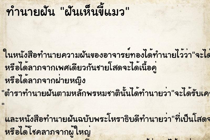 ทำนายฝันฝันเห็นขี้แมว ทำนายฝันทำนายฝันฝันเห็นขี้แมว