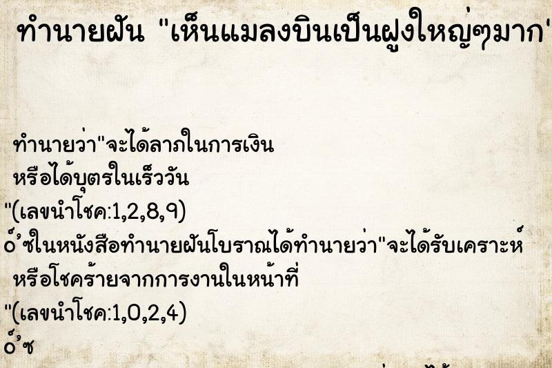 ทำนายฝัน เห็นแมลงบินเป็นฝูงใหญ่ๆมาก