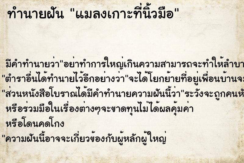 ทำนายฝัน แมลงเกาะที่นิ้วมือ ทำนายฝัน แมลงเกาะที่นิ้วมือ
