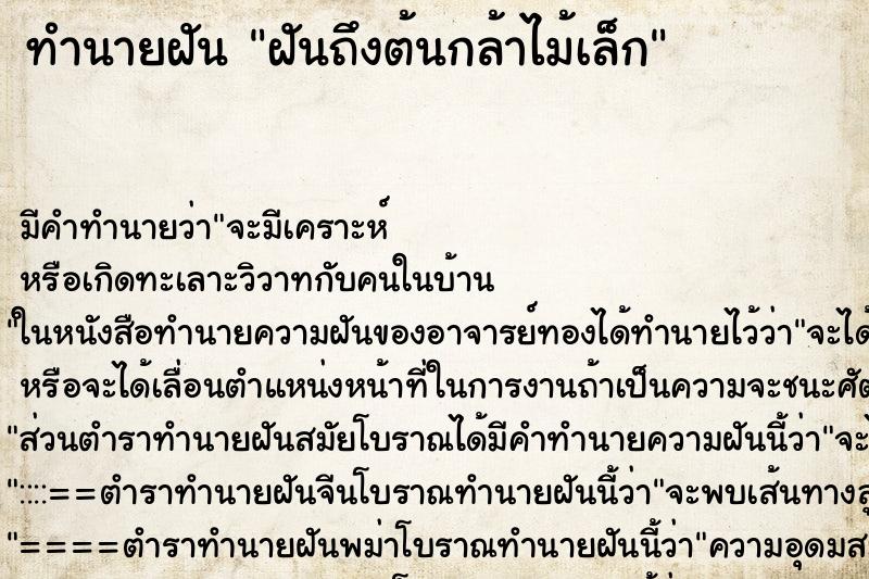 ทำนายฝัน ฝันถึงต้นกล้าไม้เล็ก ทำนายฝัน ฝันถึงต้นกล้าไม้เล็ก